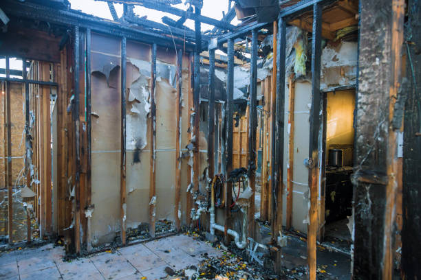 Professional Fire Damage Removal technician working in Grant City, MO